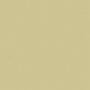 SANDERSON PAINT MUDSTONE  53